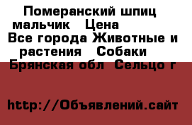 Померанский шпиц, мальчик › Цена ­ 35 000 - Все города Животные и растения » Собаки   . Брянская обл.,Сельцо г.